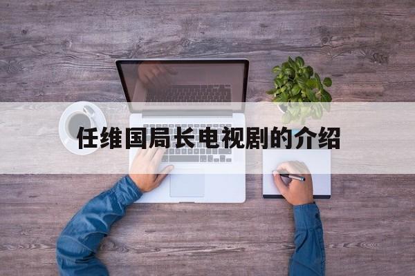 任维国局长电视剧的介绍